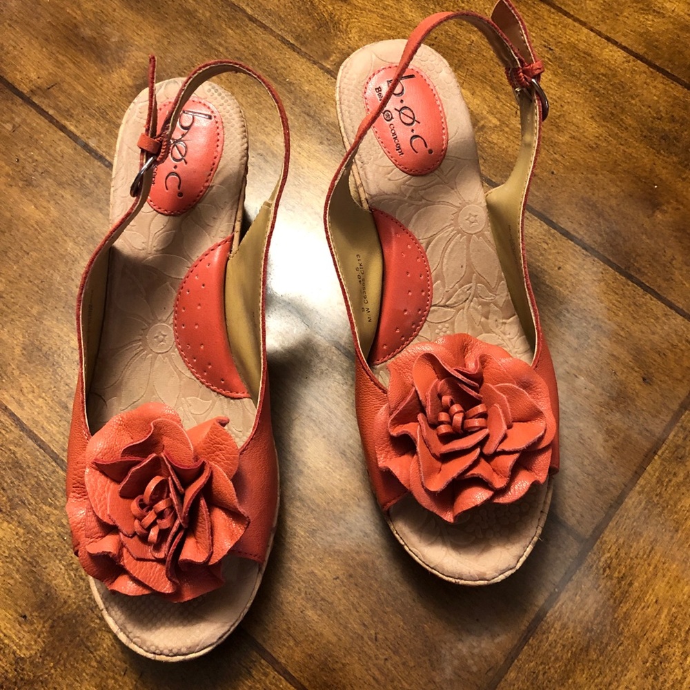 Coral Wedges